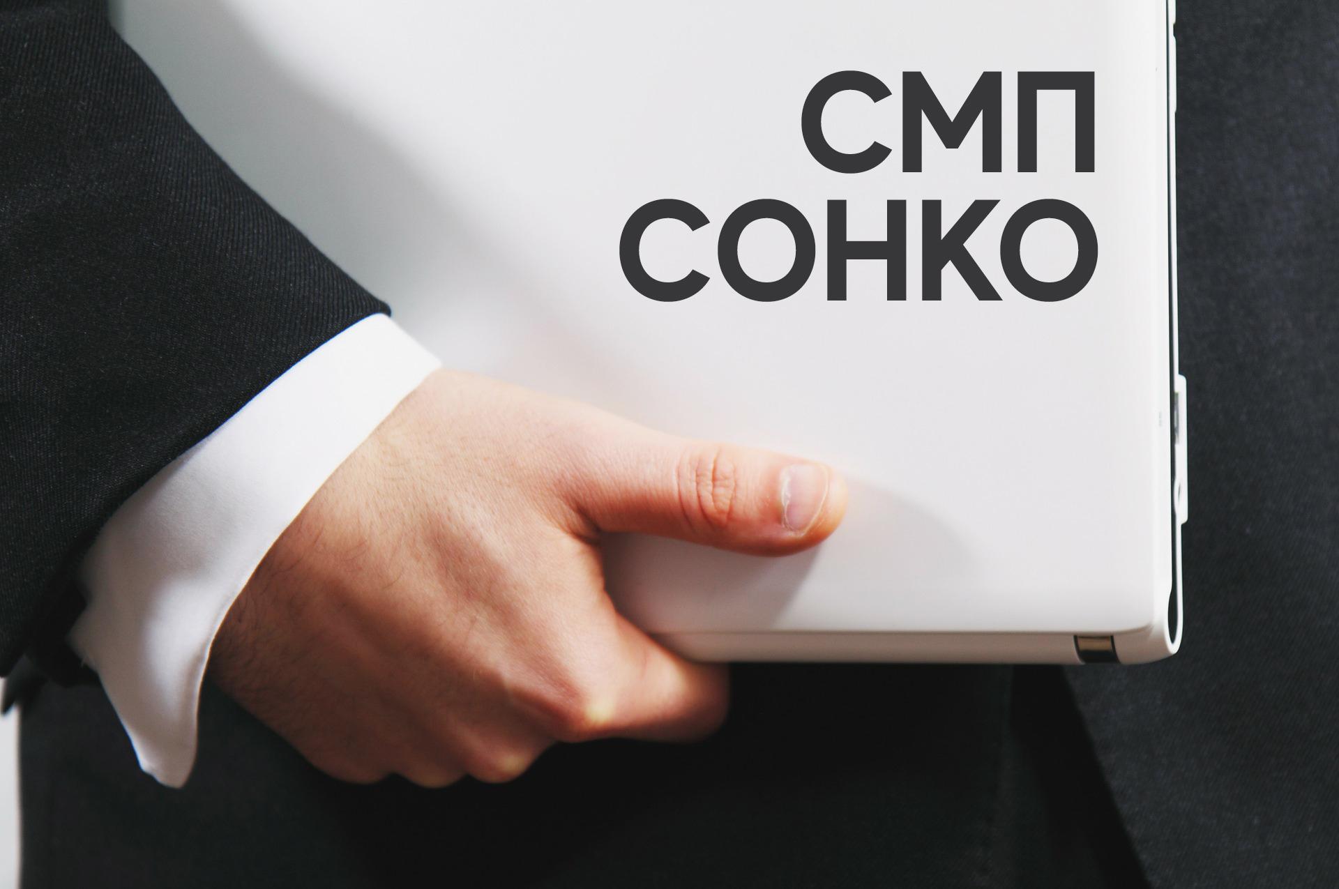 Субьект малого предпринимательства, СОНКО