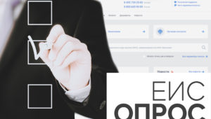 Опрос пользователей ЕИС
