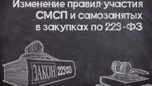Минфин предложил изменить правила участия СМСП и самозанятых в закупках по № 223-ФЗ