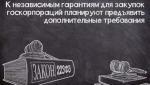 Дополнительные требования к НГ в №223-ФЗ